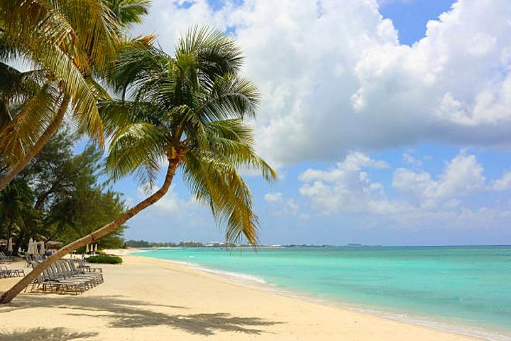 Shore Excursion: Grand Cayman Beach & Off The Beaten Track Tour - Photo 1 of 6